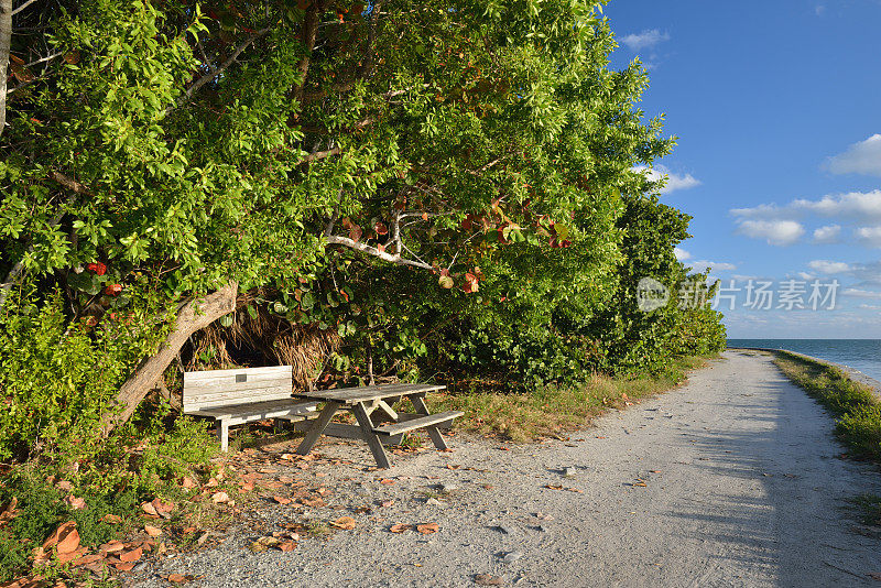 Bill Baggs Cape Florida州立公园的小道